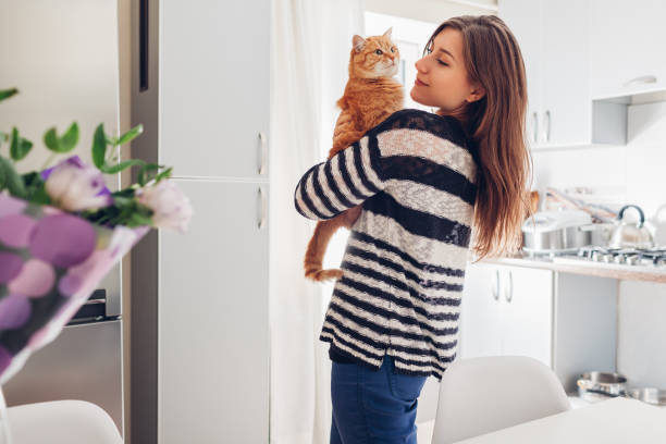 Pawsome Playtime: Why Interactive Cat Towers are a Must-Have!